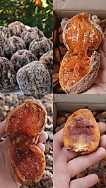 1 kg cennet hurması kurusu Jumbo boy